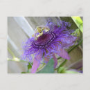 Search for passion postcards Purple