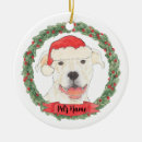 Search for staffy christmas tree decorations Pitbull