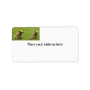 Search for grizzly return address labels Bear