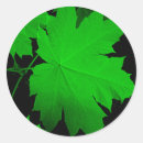 Search for leafy stickers Nature
