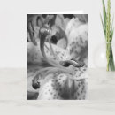 Search for sensuality cards Photography