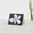 Search for iris note cards Nature