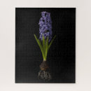 Search for hyacinth puzzles Garden