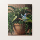 Search for houseplant puzzles Plants