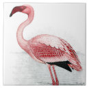 Search for finch tiles Animal