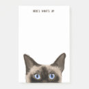 Search for funny cat post it notes Cute