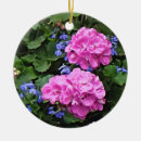 Search for geranium christmas tree decorations Summer