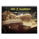 Search for mushroom calendars Moss