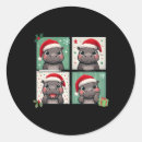 Search for funny hippo stickers Merry christmas