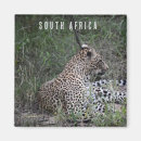 Search for big five home living Wildlife