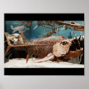 Search for dinosaur bones posters Prehistoric