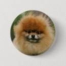 Search for looking at camera badges Loulou