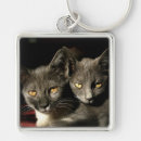 Search for furry animal key rings Cat