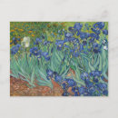 Search for irises postcards Vintage