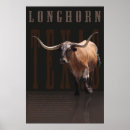 Search for longhorn posters Bulls