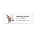 Search for italian greyhound return address labels Dog