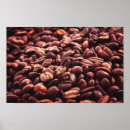 Search for coffee bean posters Pattern