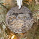 Search for horn christmas tree decorations Animal