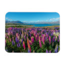 Search for floral rectangular magnets Landscape