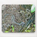 Search for snake mousepads Digital