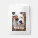 Search for boxer dog birthday crafts party Cute