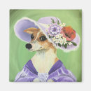 Search for dressing magnets Victorian