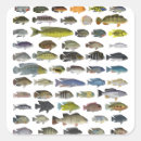 Search for aquarium fish stickers Fishing