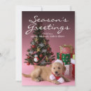 Search for golden retriever christmas cards Animal
