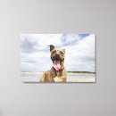 Search for looking at camera canvas prints Happiness