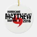 Search for east coast christmas tree decorations Florida