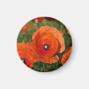 Search for papaver magnets Floral