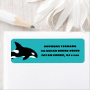 Search for orcas return address labels Killer whales