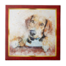 Search for abstract tiles Pet