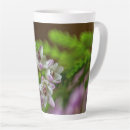 Search for evergreen mugs White