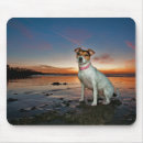 Search for sitting mousepads Beach