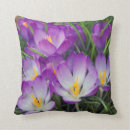 Search for crocus home living Bloom
