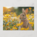 Search for vintage rabbit postcards Animal