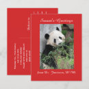 Search for veterinary postcards Dvm