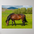 Search for horse ranch art Mane