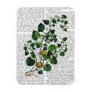 Search for squash magnets Veggie