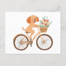 Search for bicycle basket postcards Summer