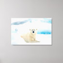 Search for boar canvas prints Animal
