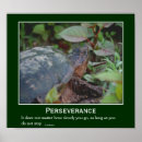 Search for turtle quotes posters Animal