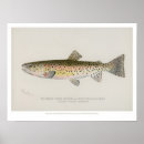 Search for trout posters Vintage