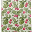 Search for raspberry shower curtains Illustration