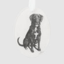 Search for mixed breed christmas tree decorations Lab