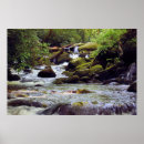 Search for mountain stream posters National park