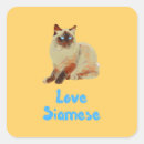 Search for cat breed stickers Kitten