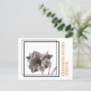 Search for floral accents postcards For her