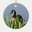 Search for goose christmas tree decorations Animals